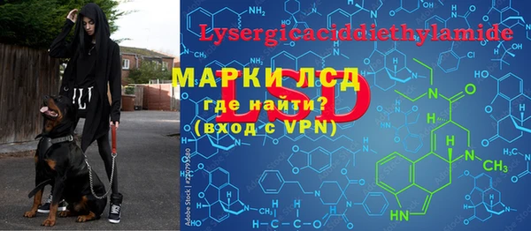 ALPHA PVP Елизово