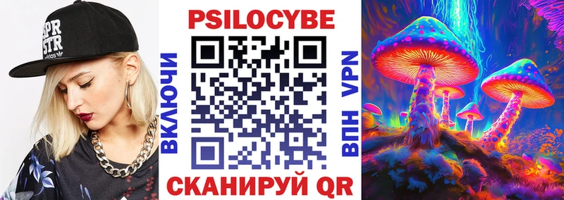 Купить закладки  Староминская  Псилоцибиновые грибы мицелий 